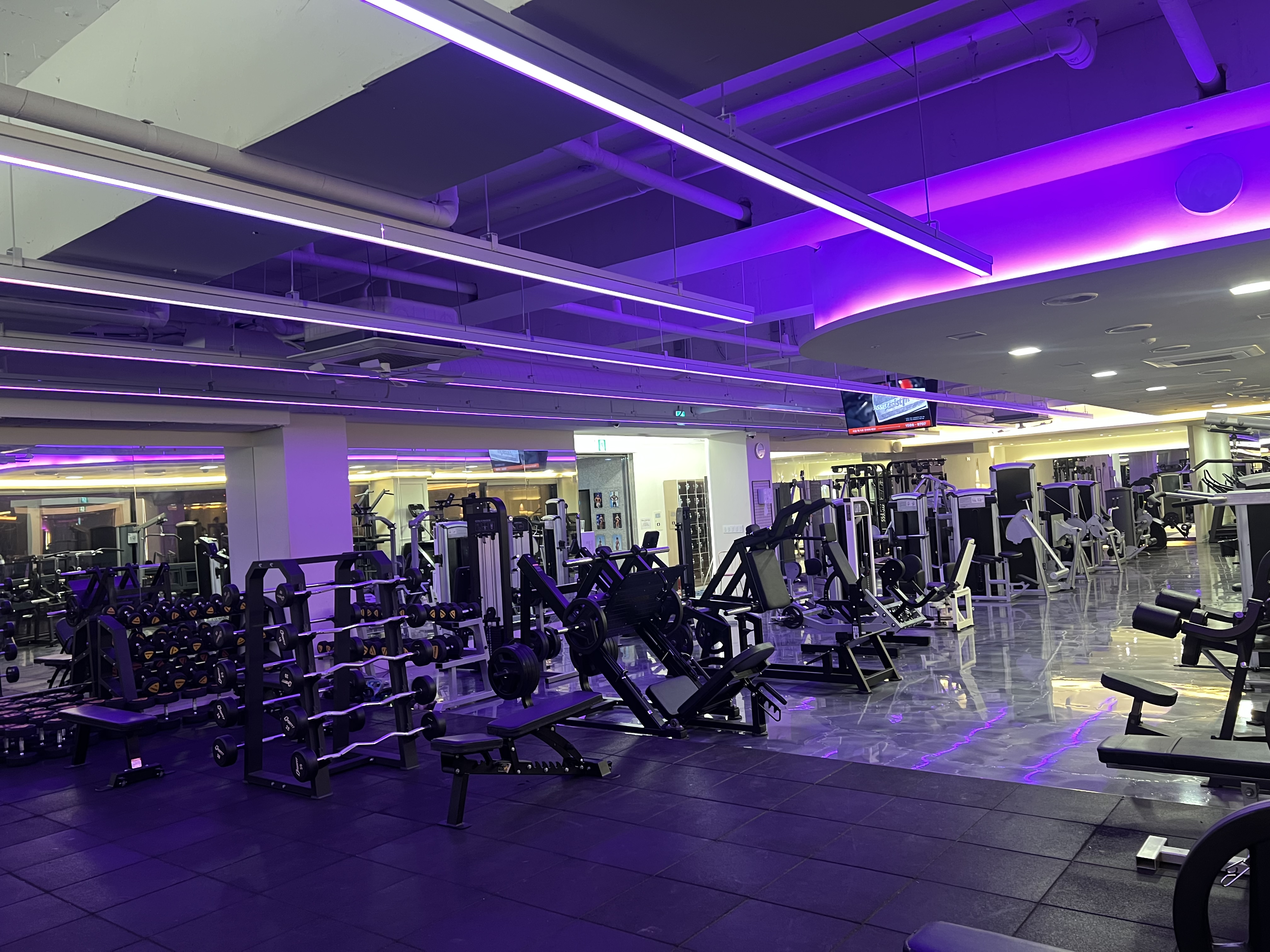 Bados Gym Interior 6